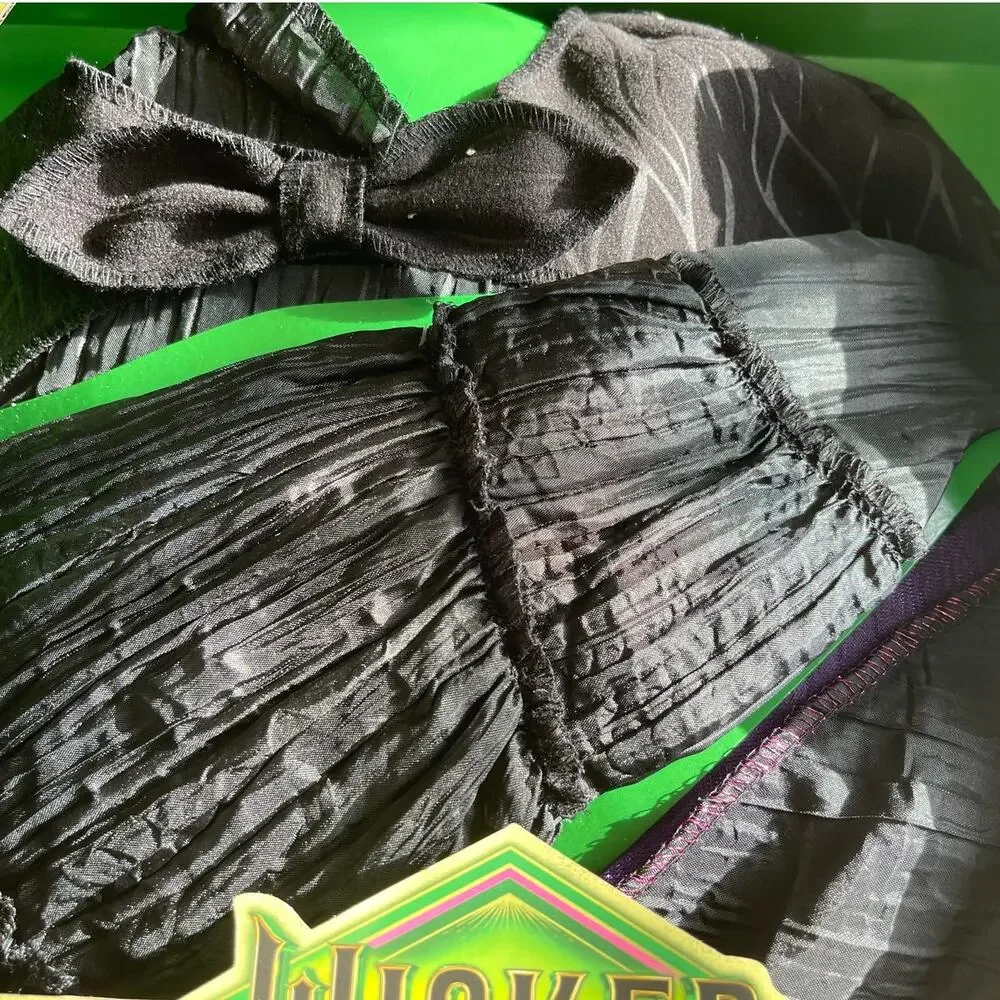 Wicked Deluxe Elphaba Black Dress & Accessories Girls Child Dress Up Size 4-6X